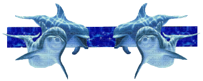 barre dauphin - Безплатен анимиран GIF