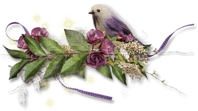 oiseau violet.Cheyenne63 - nemokama png