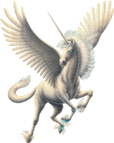 unicorn fantasy - kostenlos png
