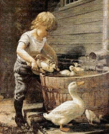 vintage ducks - Gratis animeret GIF