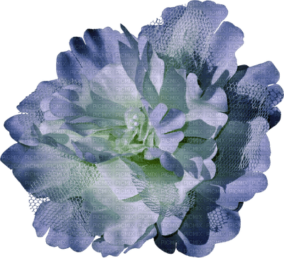 blue-rose-flower-minou52 - Free PNG