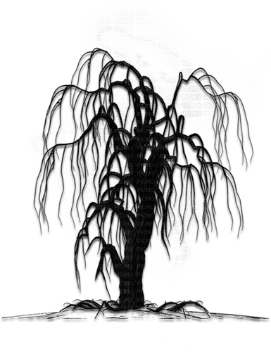 black tree Bb2 - zdarma png