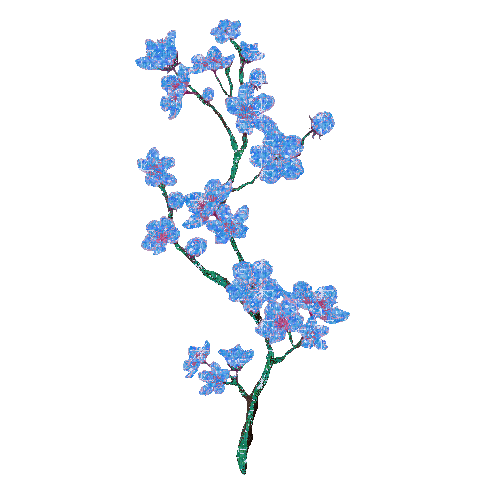 spring blossom - Animovaný GIF zadarmo
