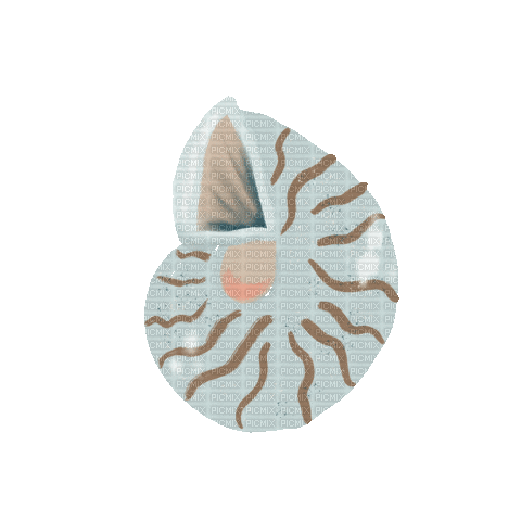 Blue Seashell - Δωρεάν κινούμενο GIF
