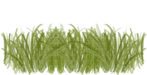 green grass png - 免费PNG