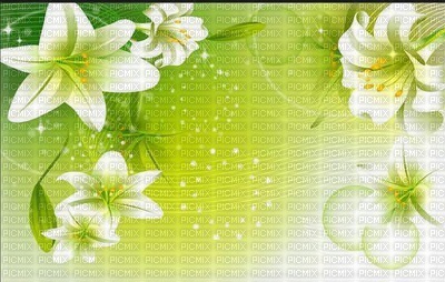 chantalmi fond vert fleur blanche - 免费PNG