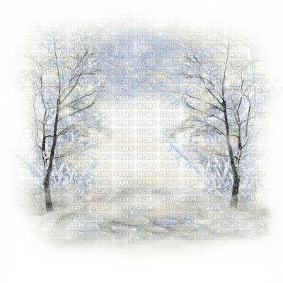 kikkapink winter background christmas transparent - darmowe png