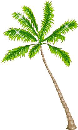 пальма. - Free animated GIF