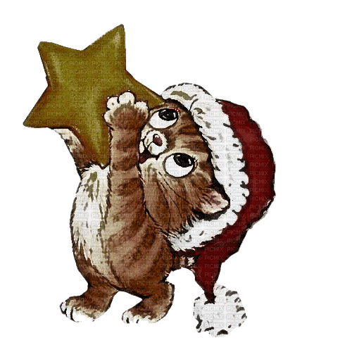 Christmas Cat with Star - nemokama png