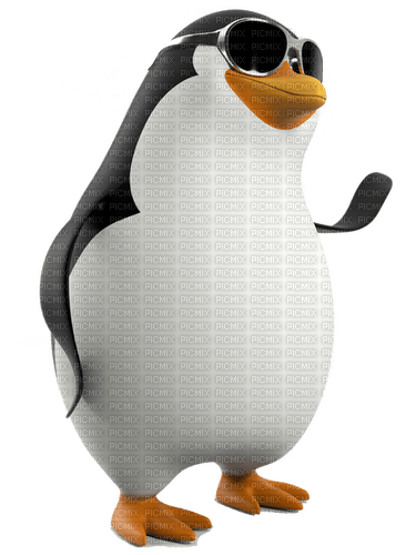 penguin with sunglasses - PNG gratuit