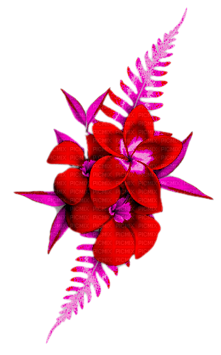 Flowers.Red.Pink - besplatni png