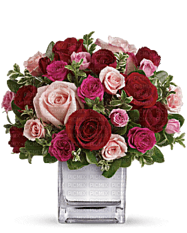 Kaz_Creations  Deco Flowers Vase Colours - png ฟรี