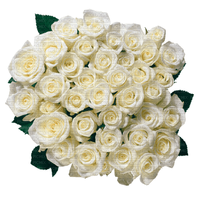 White Roses - Free PNG
