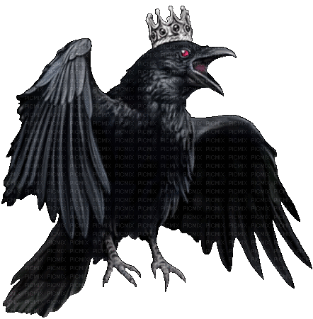 gothic raven by nataliplus - GIF animé gratuit