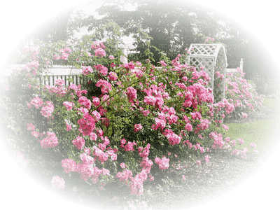 Kaz_Creations Deco  Flowers Flower Colours Paysage Scenery - PNG gratuit