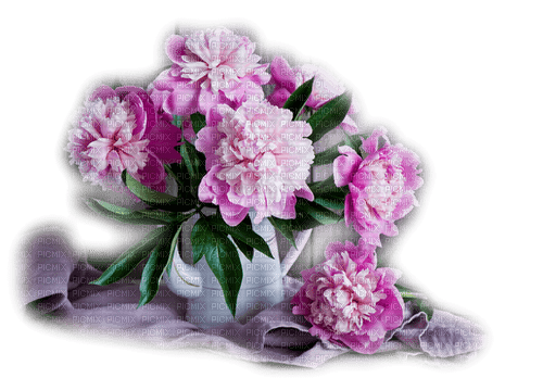 blommor--vas--flowers--vase--pink--rosa - gratis png