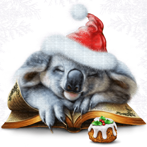Y.A.M._Winter Christmas Koala - PNG gratuit