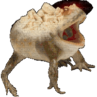 content aware crack frog - Безплатен анимиран GIF