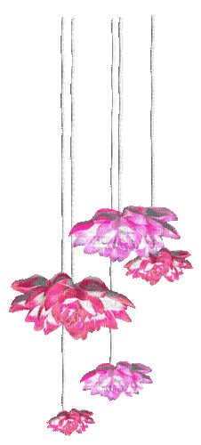 Flowers.Pink - By KittyKatLuv65 - Besplatni animirani GIF