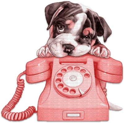 soave dog phone deco pink - PNG gratuit