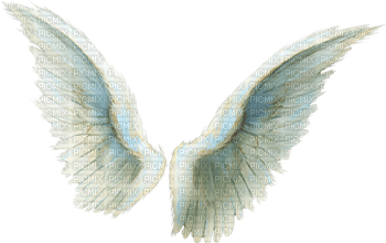 angel wings bp - png ฟรี