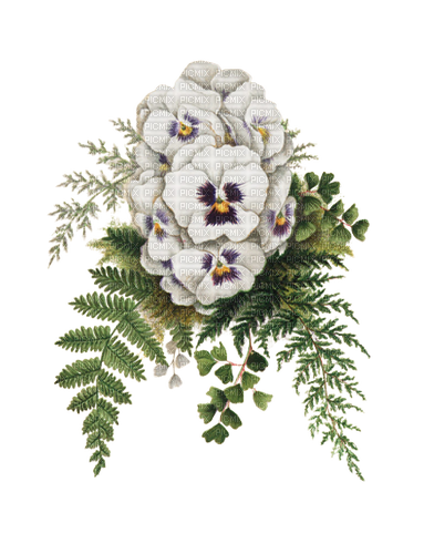 kikkapink spring flowers vintage deco white - безплатен png