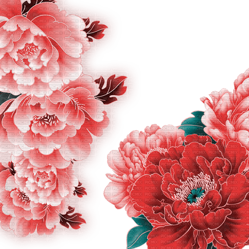 Y.A.M._Spring Summer Flowers Decor - png gratuito
