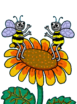 Bees, bees , fleur , flower , cute , gif - Zdarma animovaný GIF - PicMix