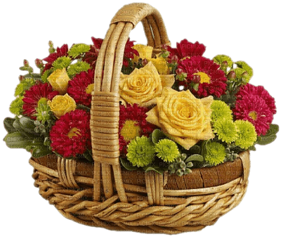 Kaz_Creations Flowers Deco Flower Colours Basket - zdarma png