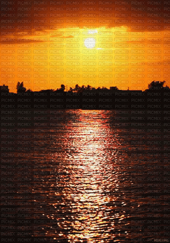sunset - Animovaný GIF zadarmo