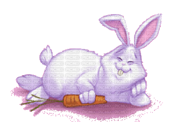 bunny hare hasen lièvre fun - Gratis geanimeerde GIF