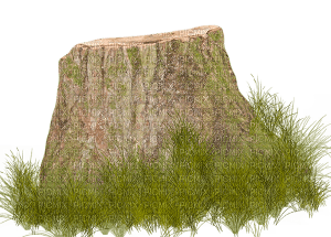 tree stump - Free PNG