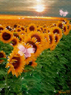 Flores - Gratis animeret GIF