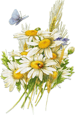 soave deco flowers  daisy white yellow green blue - zdarma png