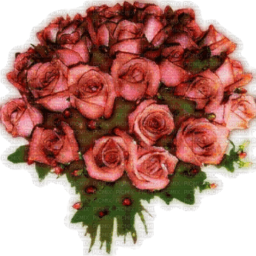 bouquet of roses - Gratis geanimeerde GIF