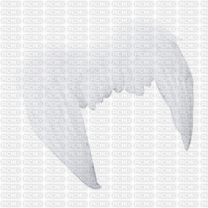 ailes blanche - PNG gratuit