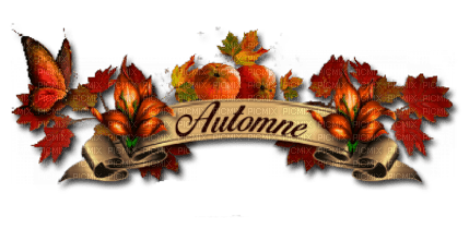 Texte Autumne - zdarma png