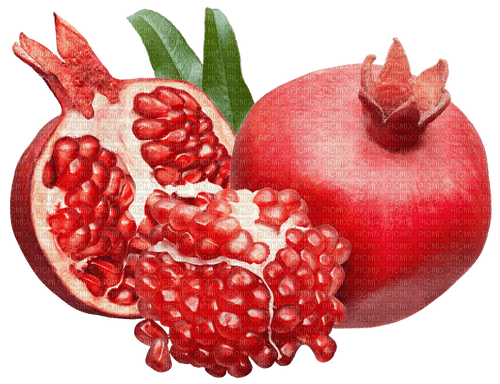 pomegranate Bb2 - png gratuito