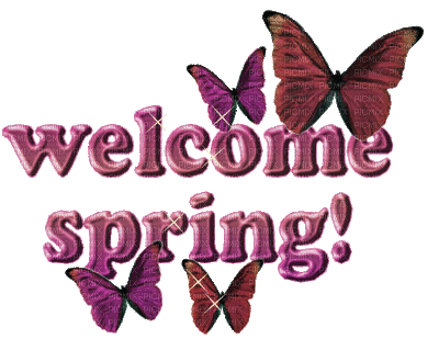 Kaz_Creations Text Animated Welcome Spring Butterflies - Gratis animerad GIF