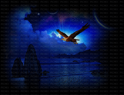 Nuit-Aigle - Besplatni animirani GIF