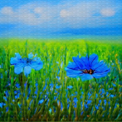 Blue Flower Field - бесплатно png