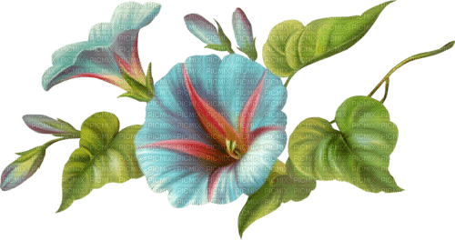 deco flowers blue vintage kikkapink - PNG gratuit