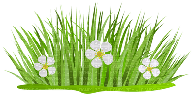 Kaz_Creations Garden-Deco-Grass - δωρεάν png