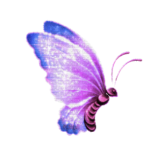 Y.A.M._Fantasy butterfly purple - Zdarma animovaný GIF