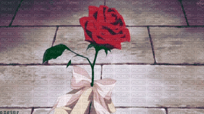 koren rose - 免费动画 GIF