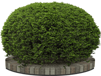Kaz_Creations Garden Deco - Free PNG