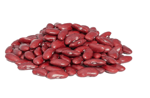 kidney beans - PNG gratuit