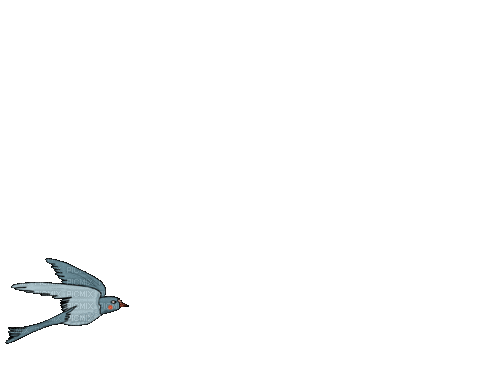 Bird Fly - Ilmainen animoitu GIF