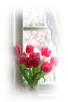 tulipanes - png grátis