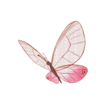 vintage butterfly - PNG gratuit